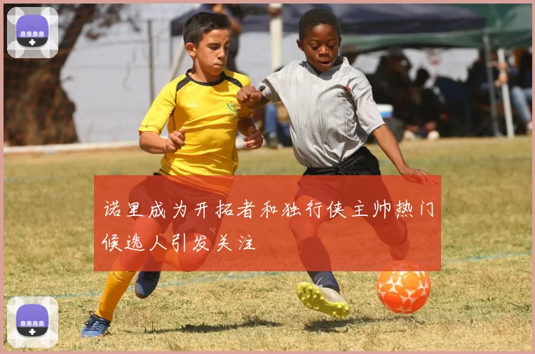 诺里成为开拓者和独行侠主帅热门候选人引发关注