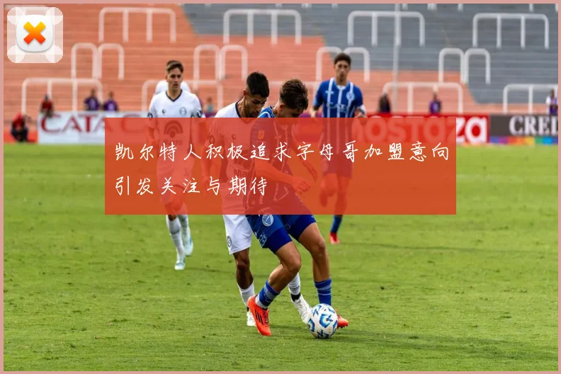 凯尔特人积极追求字母哥加盟意向引发关注与期待